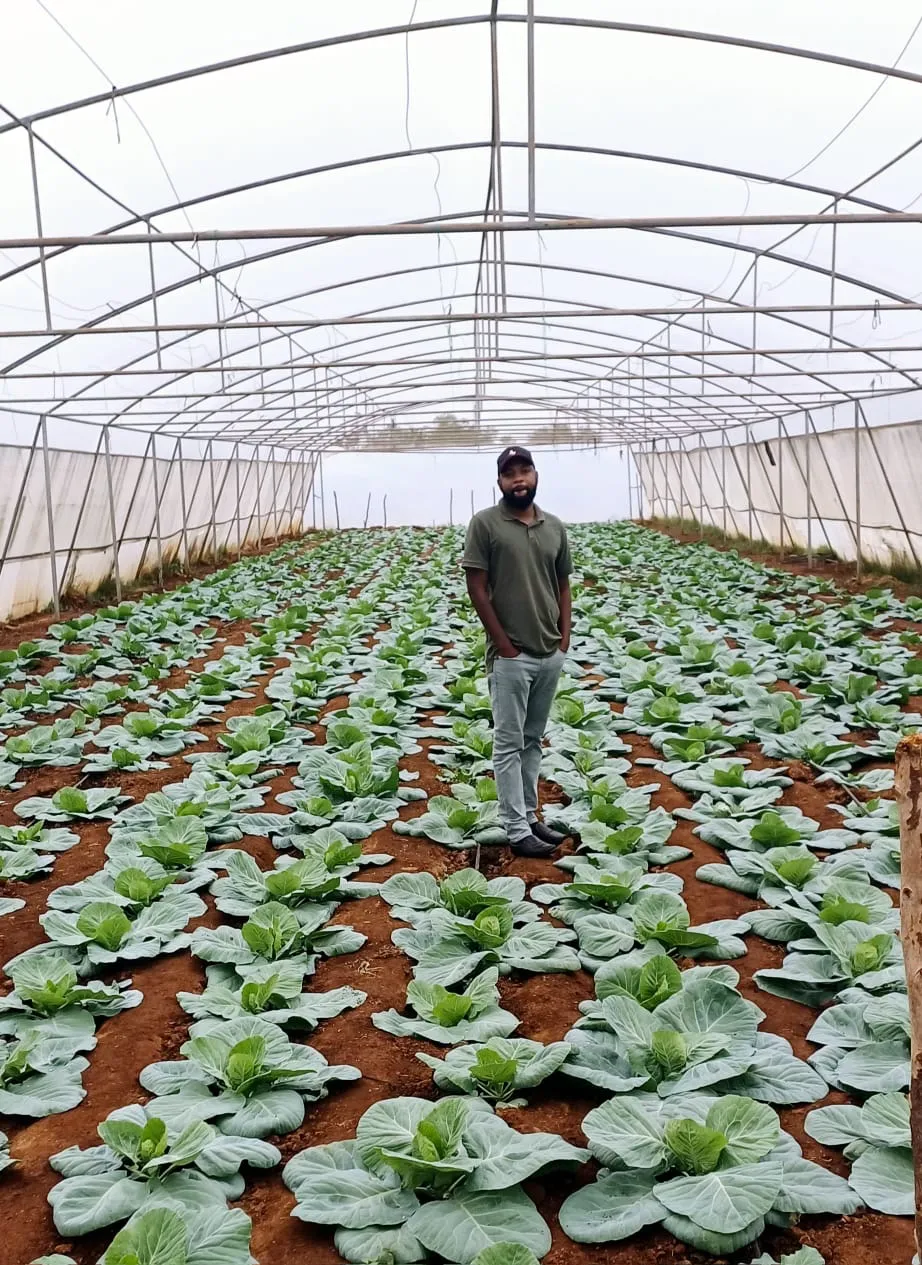 8020 Market founder among the cabbage rows at 8020 Farms