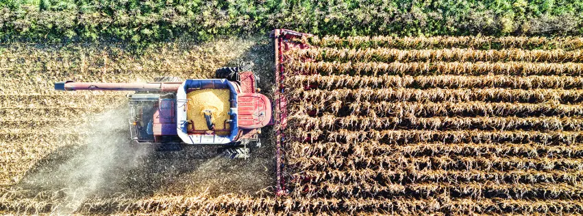 Harvester at work in the fields
