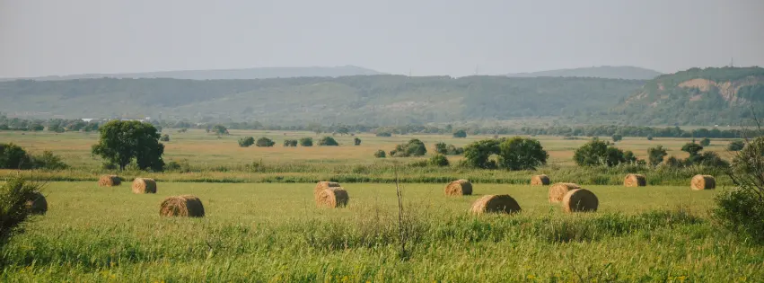 Hay bales across the farm