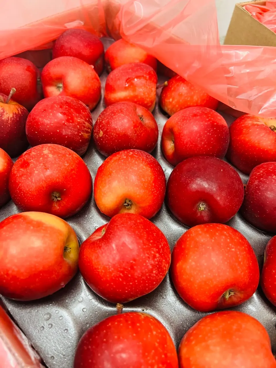 Crate of fresh apples