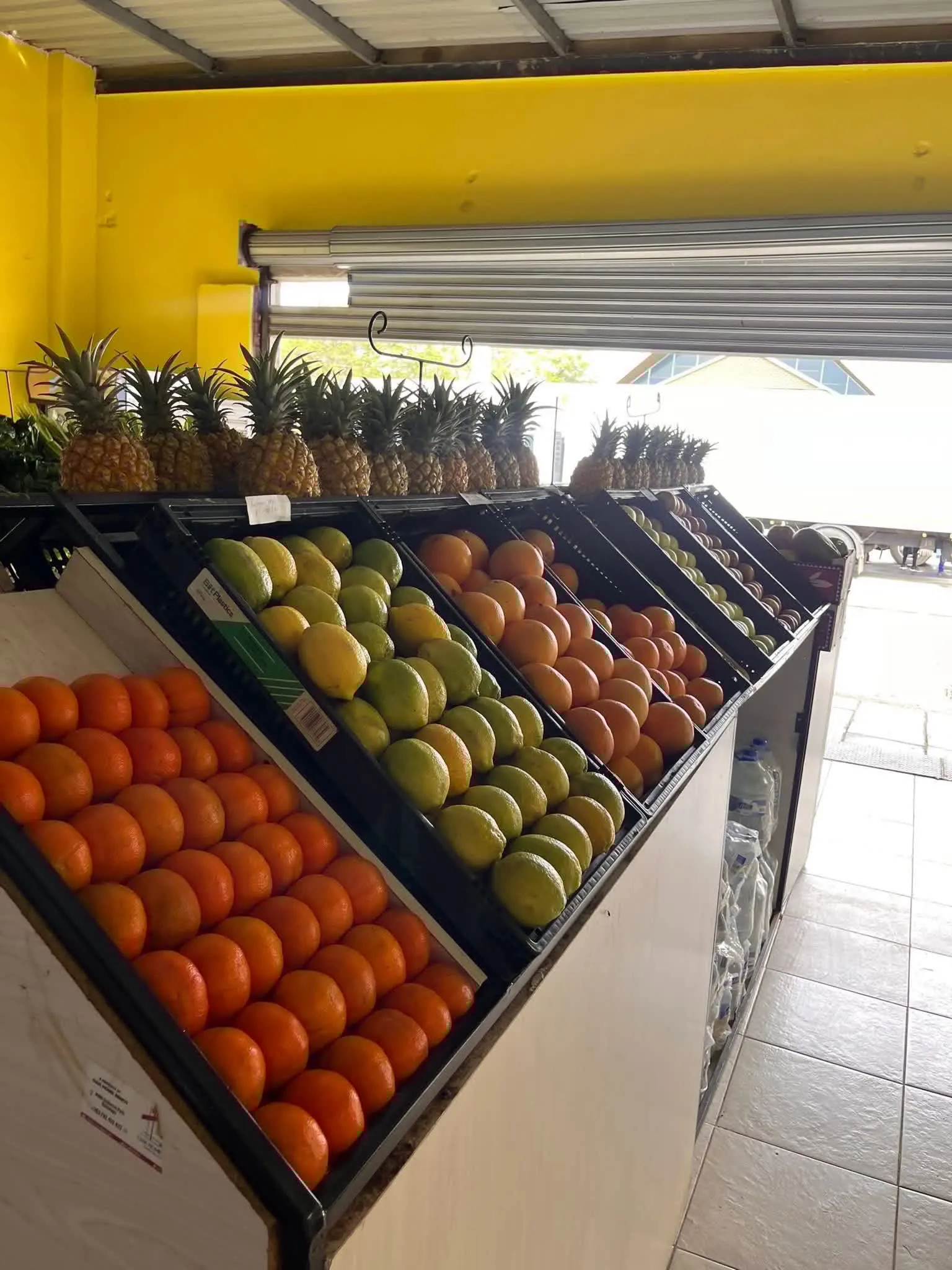Inside the 8020 Market store