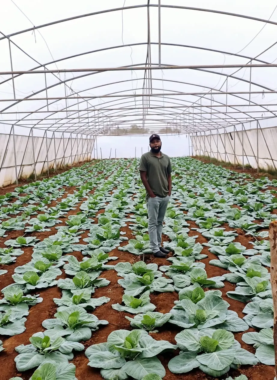 8020 Market founder among the cabbage rows at 8020 Farms